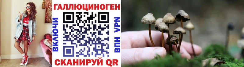 Псилоцибиновые грибы мицелий KRAKEN ССЫЛКА Сегежа где купить наркоту