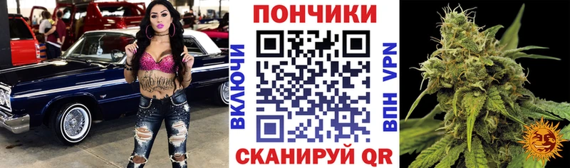 Бошки Шишки VHQ  купить   Сегежа 